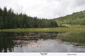 Mountain-Magic-(regan lake)(C)06David Wodiuk.IMG_1613