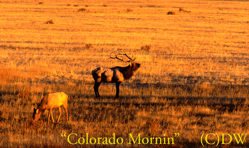 Colorado-Mornin-10-01