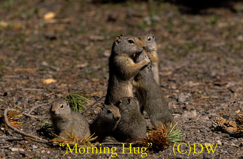 morning hug (C) DW